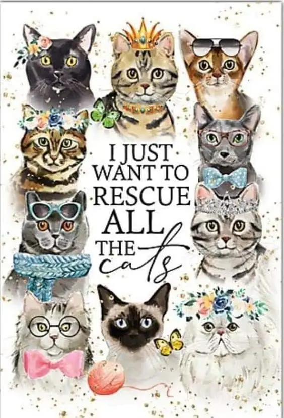 I Just Want To Rescue All The Cats Retro Metal Tin Sign Vintage Aluminum Sign for Home Coffee Wall Decor