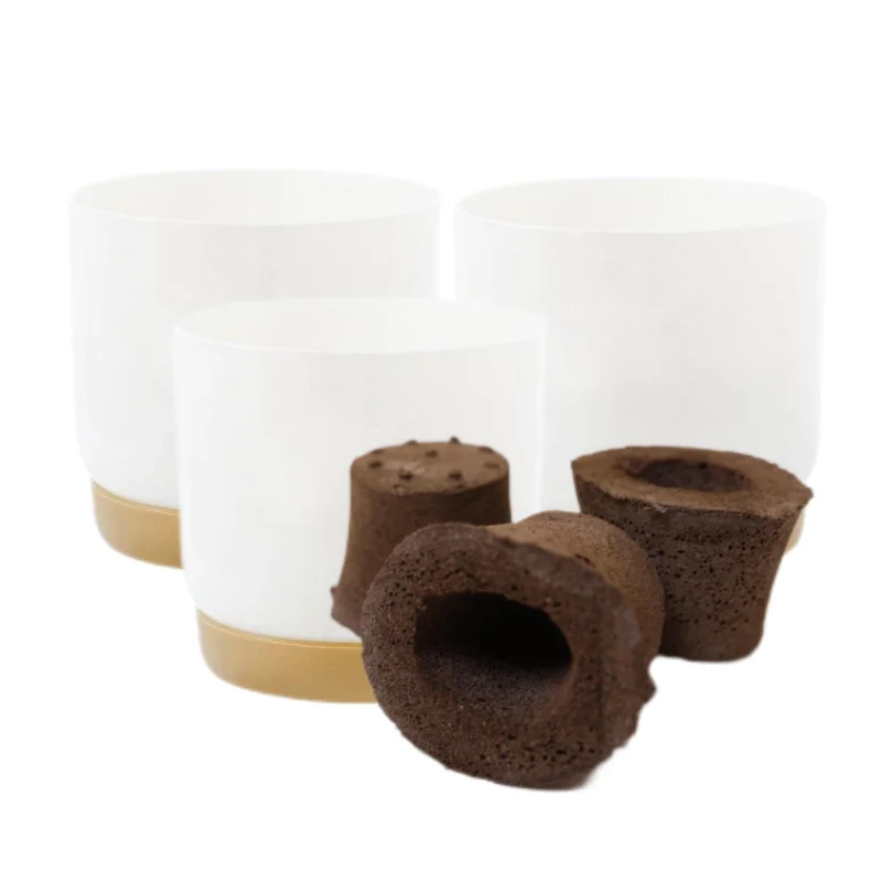 

3 Sets of Planting Substrate Flower Pot Combination Set/Grow Sponge Container Combination Set Suitable for Desktop or Home Planting/T Natural Carbon Mud Growth Media