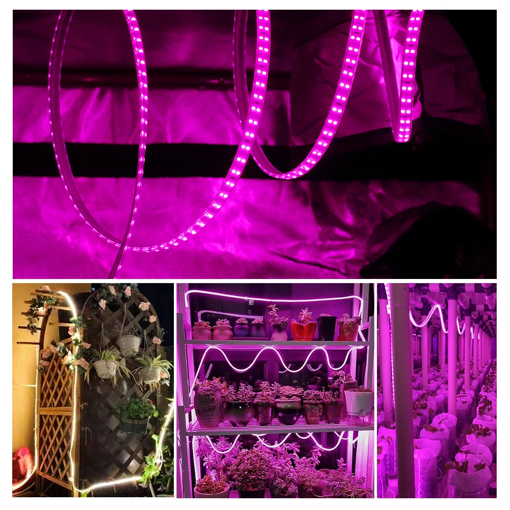 220V Full Spectrum LED Grow Light Strip SMD2835 For Greenhouse Tents Double Row LED Light For Plants Seeding