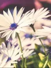 

52V battery 18650 Lithium ion 10500mAH with BMS,14S3P battery pack，For various electronic devices and transportation equipment