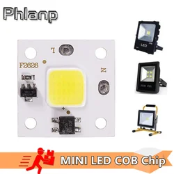 Phlanp 10W modulo COB 220V LED Chip Diodi Lampada Lampadina Per Faretto Esterno Giardino Perline Luce Integrate Lampada Illuminazione FAI DA TE