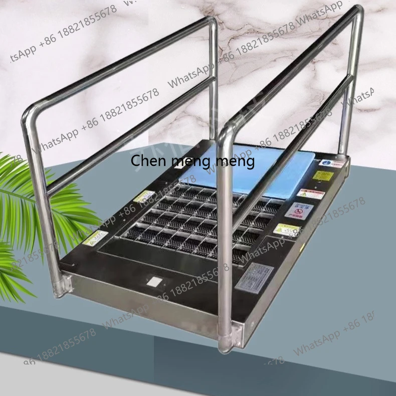 

Automatic air shower room channel built-in clean and dust-free workshop laboratory intelligent sole cleaning