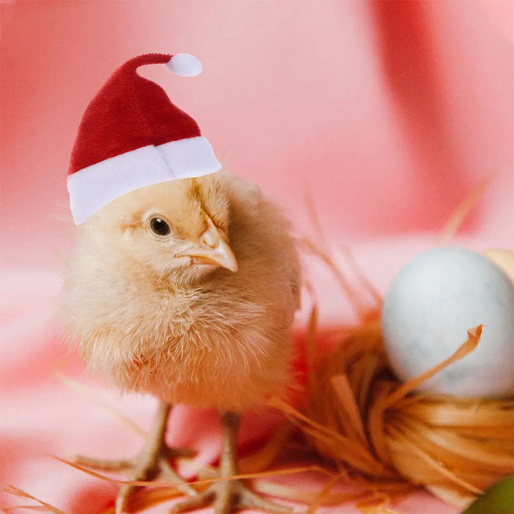 

2Sets Chicken Christmas Hat with Scarf Set Festive Pet Costume Accessory Breathable Soft Warm for Ducks Small Pets Holiday Party