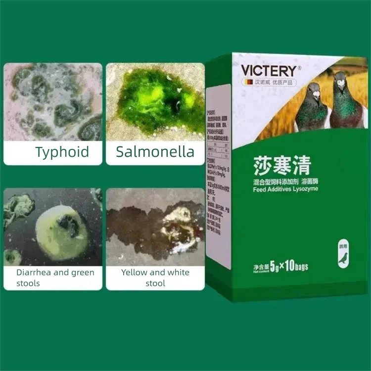 Pigeon parrot Salmonella, Escherichia coli, typhoid, paratyphoid, white water, green stool, 50g powder formulation