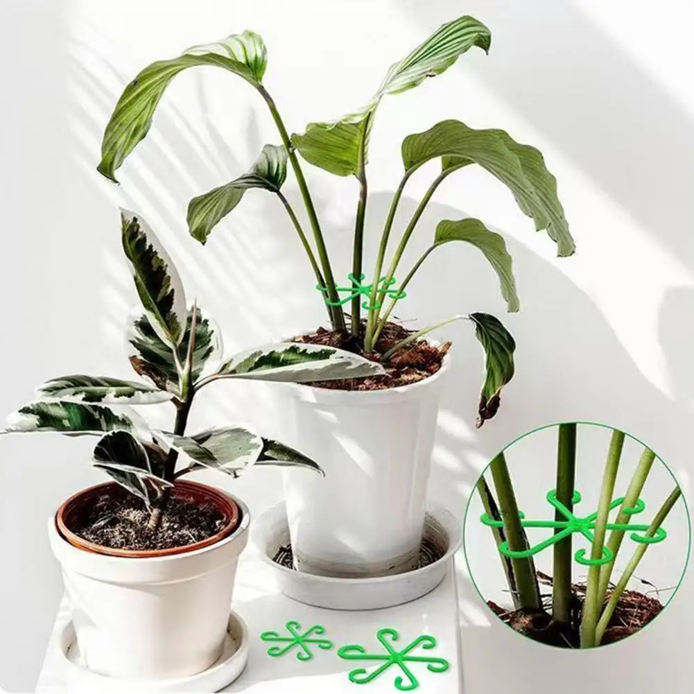 Non-damaging Plant Stand Plant Stand 40pcs Plant Support Brackets Set Soft Plastic Upright Growth Stands Multiple for Gardening