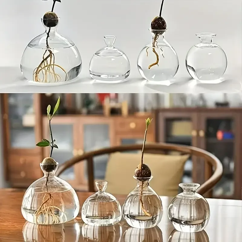 Avocado Vase Grow Glass Bulb Vases Acorn Seed Starter Vase Avocados Pit Planter Pot for Gardening Lover Indoor Hydroponics