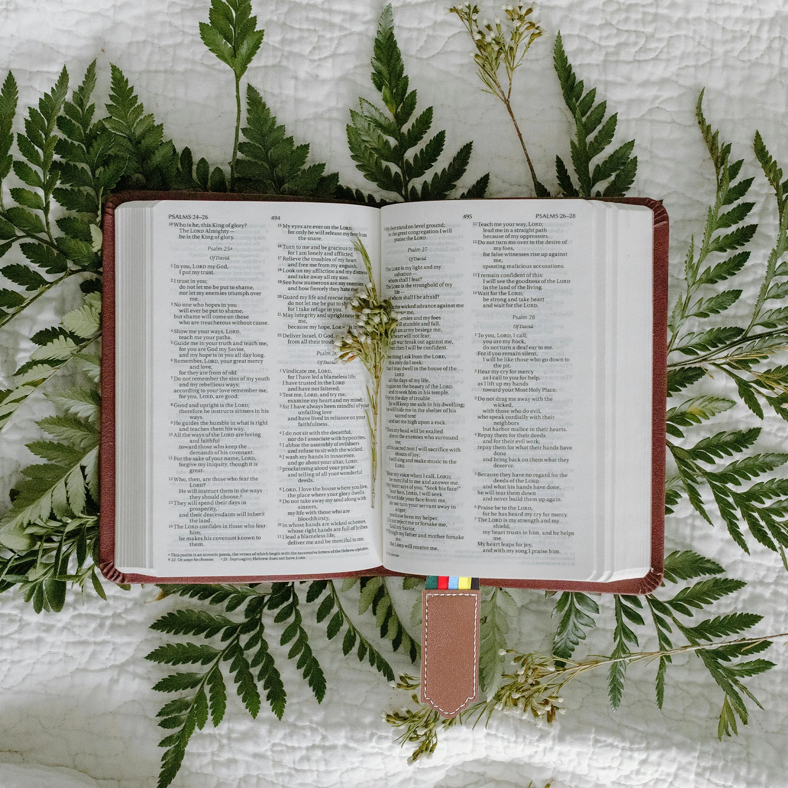 علامة مرجعية بشريطية، علامة صفحة الكتاب المقدس الملونة، سهلة الاستخدام، ملحقات القراءة للكتب والروايات، الإشارات المرجعية لأشرطة الكتاب المقدس