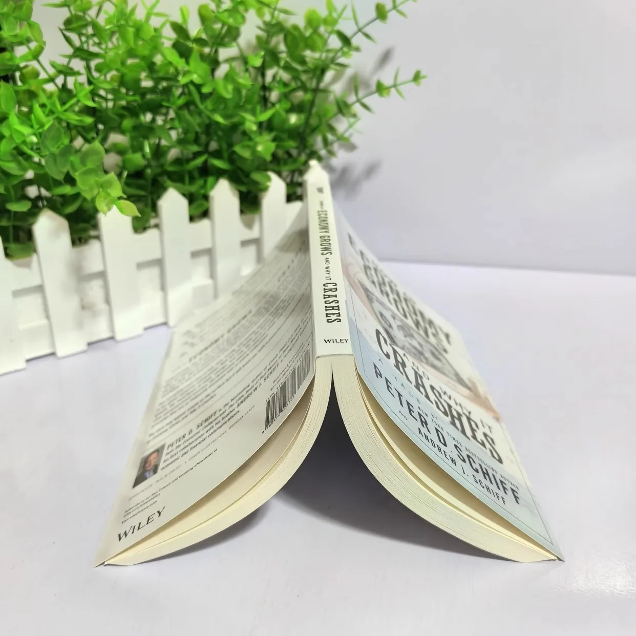 How An Economy Grows and Why It Crashes Paperback Book in English