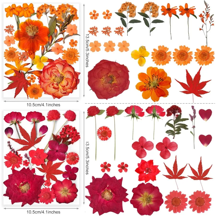 레진 공예용 건조 압화 320개 대량, 진짜 천연 압화와 두 장의 나비 스티커 포함, 이상적인 선택