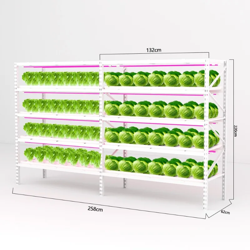 

33 Holes flat hydroponic seed sprouter microgreens grow tray greenhouse for agriculture used hydroponics growing system kit