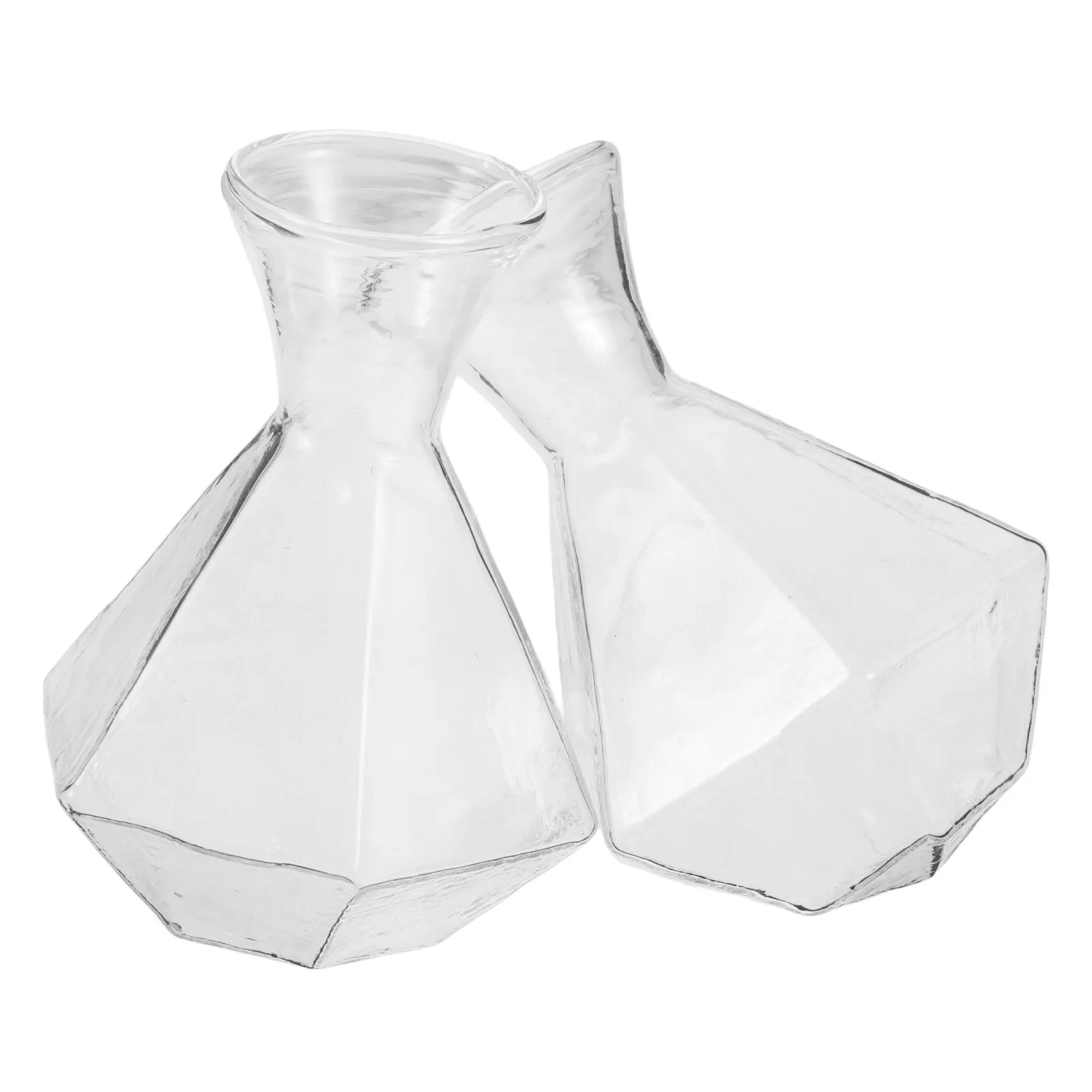 2Pcs Glass Vase High Borosilicate Transparent Decorative Planter for Home Office Hydroponic Propagation Table Centerpiece