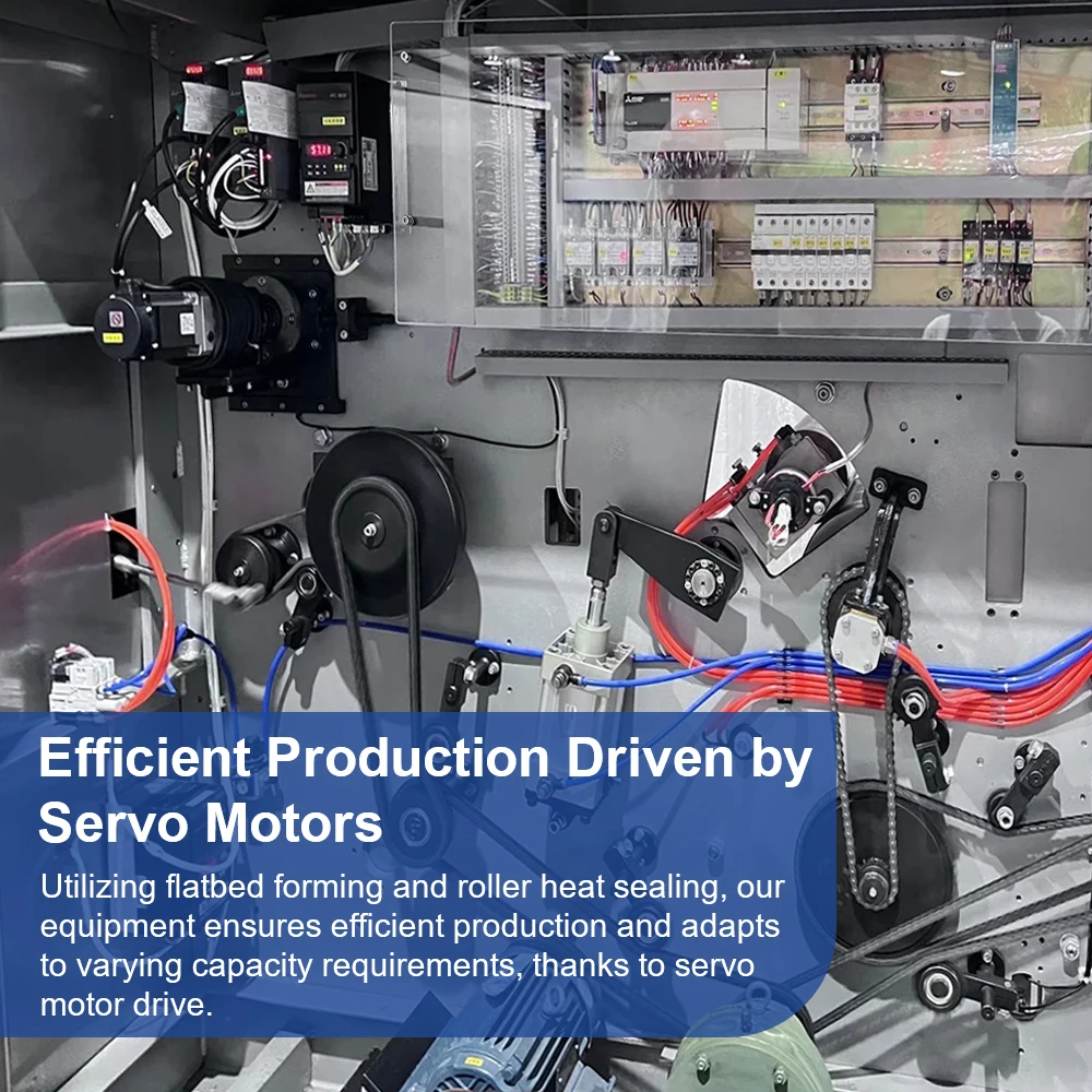 Cheap Price Full Automatic Sauce and Paste Blister Packaging Machine With User Friendly Operation