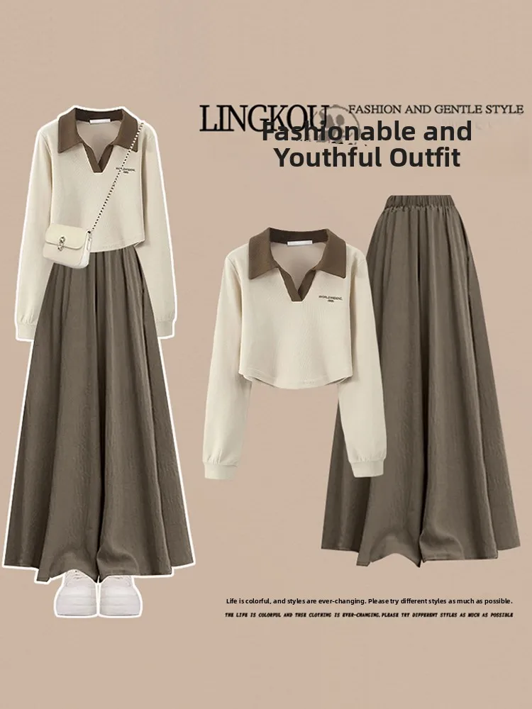 

Модный весенний комплект больших размеров для женщин: винтажный повседневный свитшот и юбка с высокой талией и широкими штанинами, комплект из двух предметов