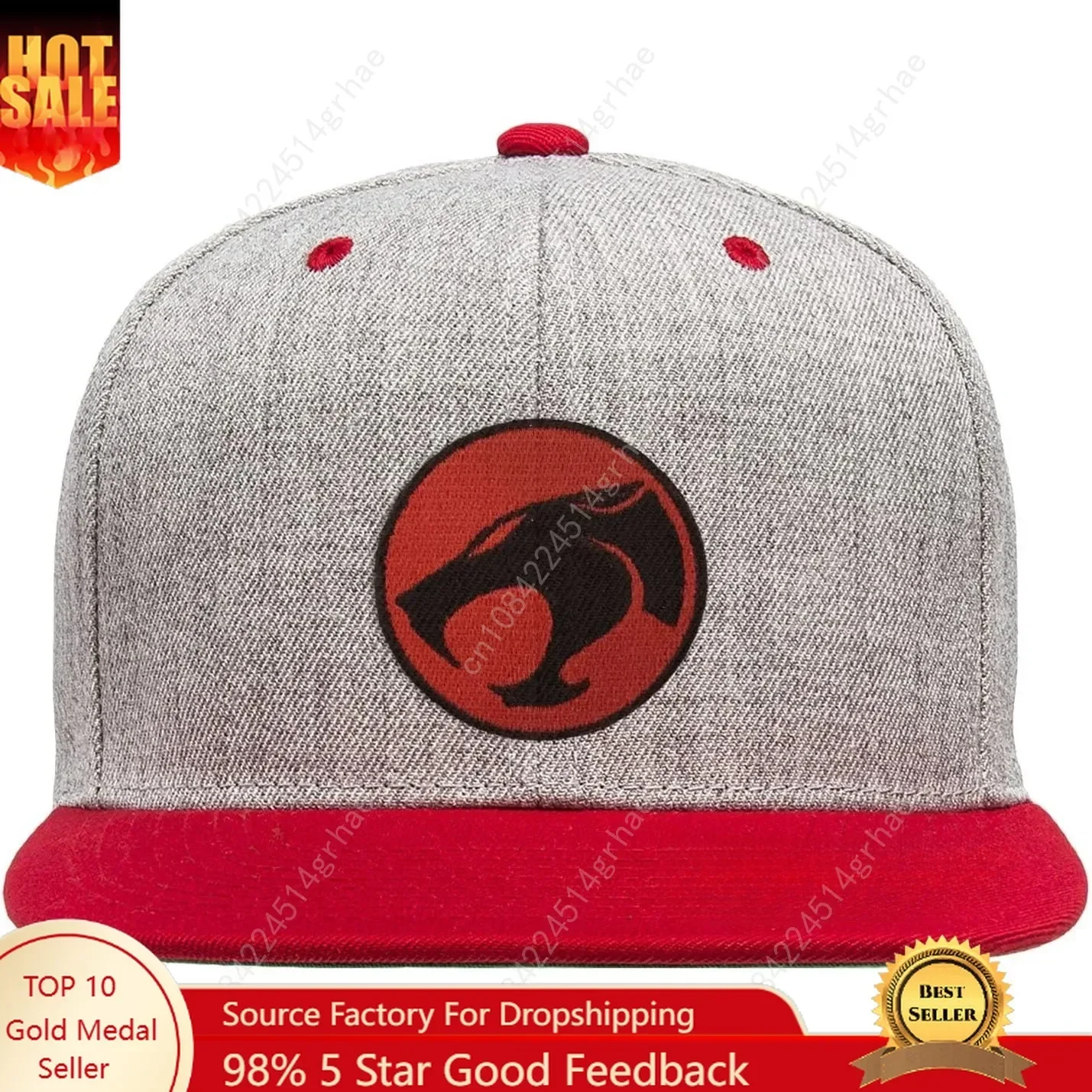 

ThunderCats Officially Licensed Logo Premium Snapback Cap (Heather Grey-Red), One Size