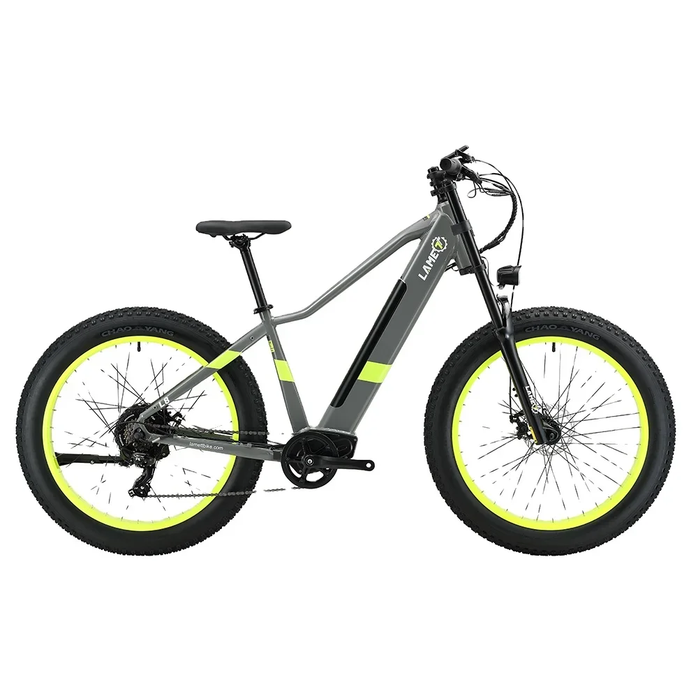 Electric Dirt Bike 750w 26inch Fat Tire E-Bike Cheap Electric Mountain Bike Electric City Bike vintage mountain