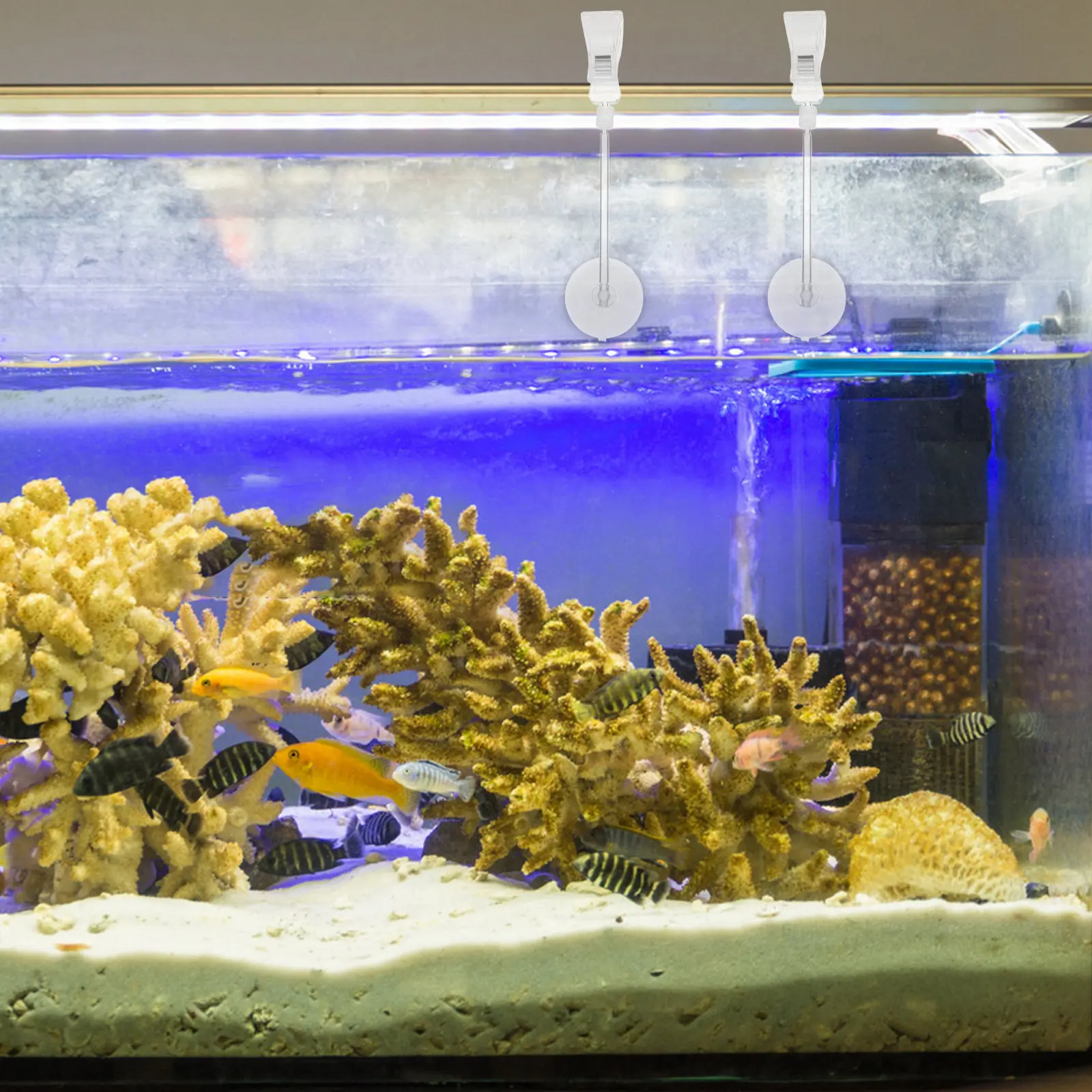 3 pcs Aquarium Fish Tank Hallo - Aquarium Plant Holder 评论和价格