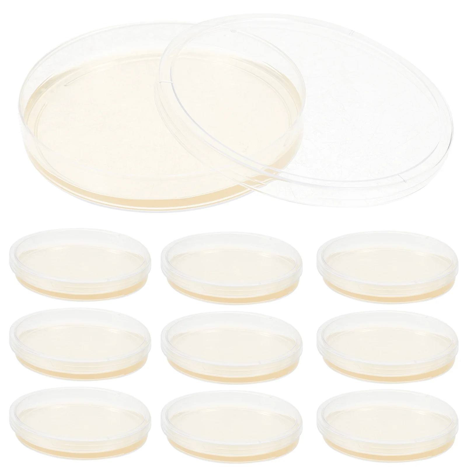 

10 Pcs Nutrient Agar Plate Plates Prepoured Petri Dishes for Laboratory Slats Experiment Supplies