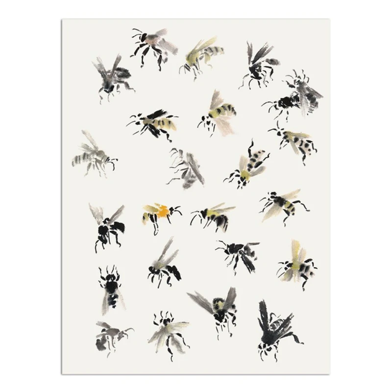 Traditional Chinese Painting Basic Tutorial Book Flower Bird Fish Insect Freehand Painting Album Introductory Teaching Material