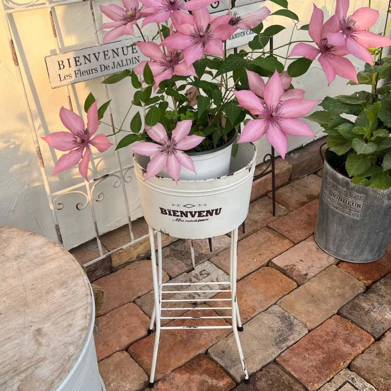 Garden Old Iron Planter Box Vintage Metal Flower Stand Rustic Galvanized Plants Holder Tall Pedestal Plant Rack for Balcony