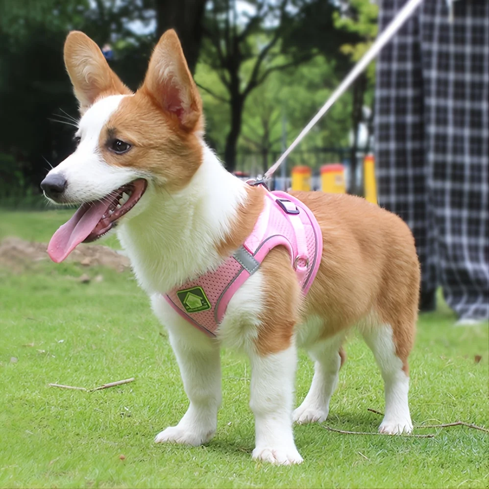 Reflective Pet Harness And Leash Set For Dog & Cat, No Pull Dog Vest Harness With Breathable Mesh