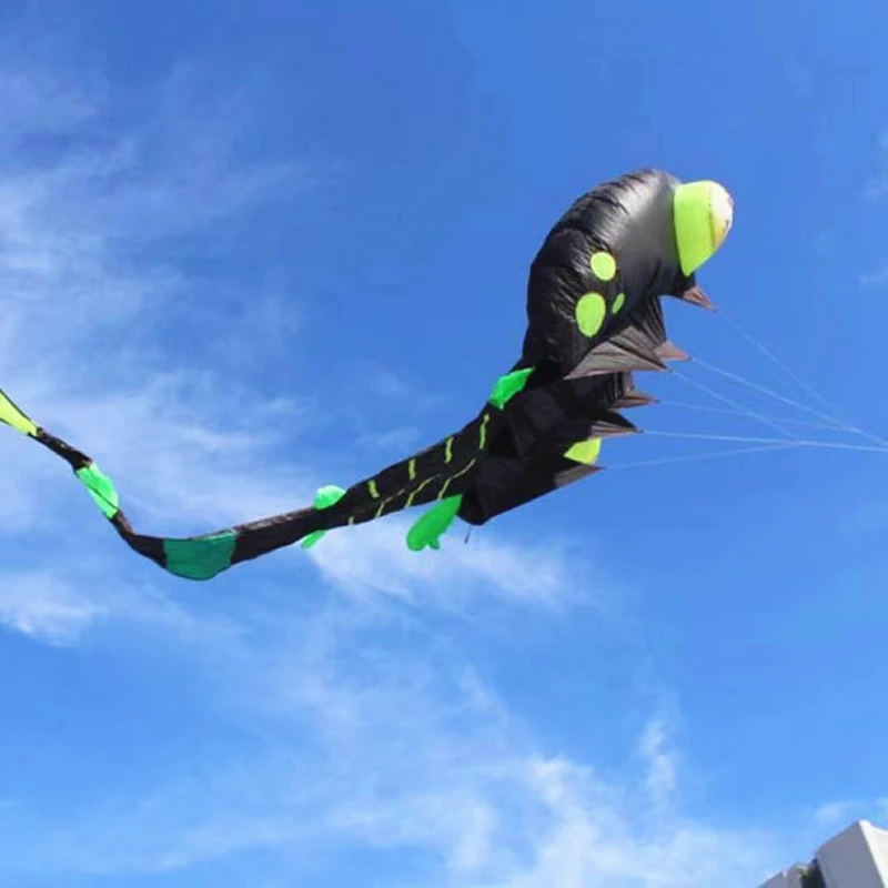 free shipping black tadpole kites flying soft kite nylon fabric kites for adults windsurfing parts dragon kite inflatable games