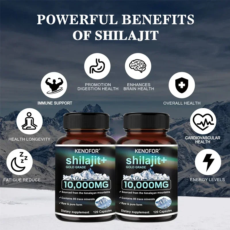 Shilajit Pure Himalayan Extract Capsule-Supplement Helpt Lichaamsontsteking, Bot, Energie En Hart Te Verminderen, Huidgezondheidsondersteuning