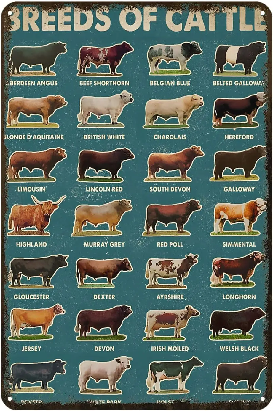 Breeds of Cattle for Lovers Farmer Metal Sign Rustic Decor Vintage Tin Sign Home Kitchen Bar Cafe Farm Club Cave Wall Decor Cow