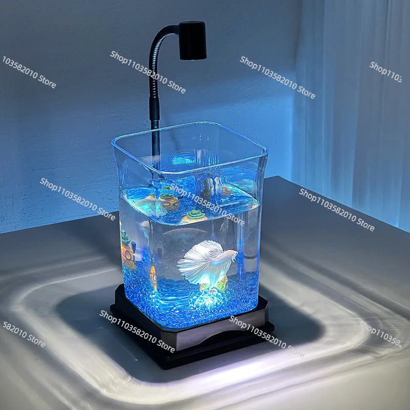 Small Plastic Transparent Goldfish Tank with Lamp, Living Room Household Micro-Landscape Aquarium