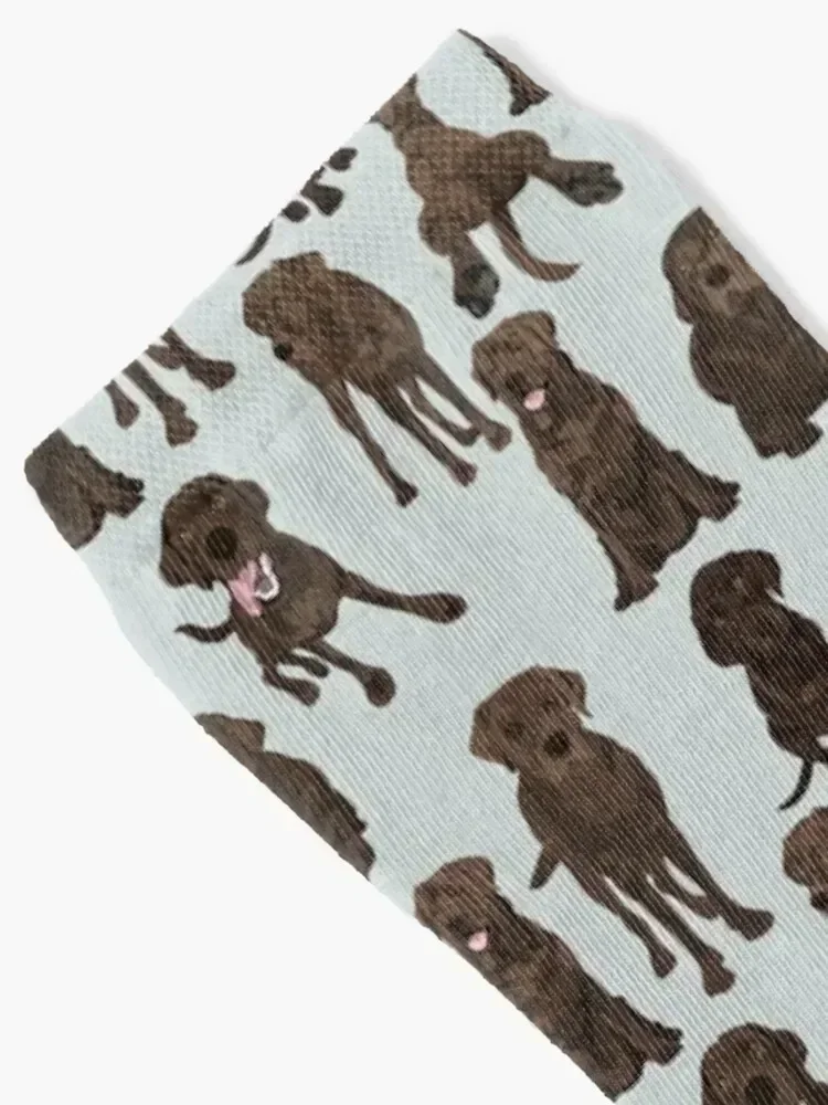 Chocolate Labrador Socks Wholesale kids japanese fashion luxury Women's Socks Men's