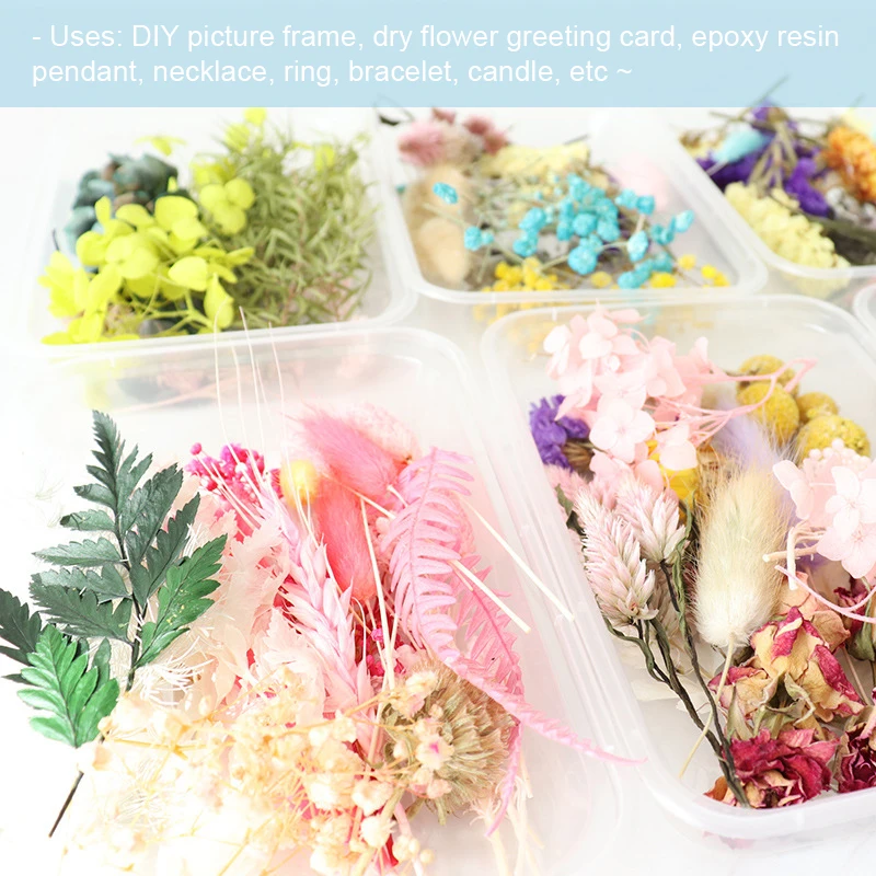 1 caixa de flores secas naturais misturadas flores secas material diy arte decorações florais coleção presente artesanato diy decoração para casa