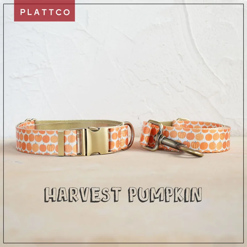 PLATTCO unique design dog set print Harvest Pumpkin with high-quality bronze buckle size 5 PDC367Br&PDL367Br