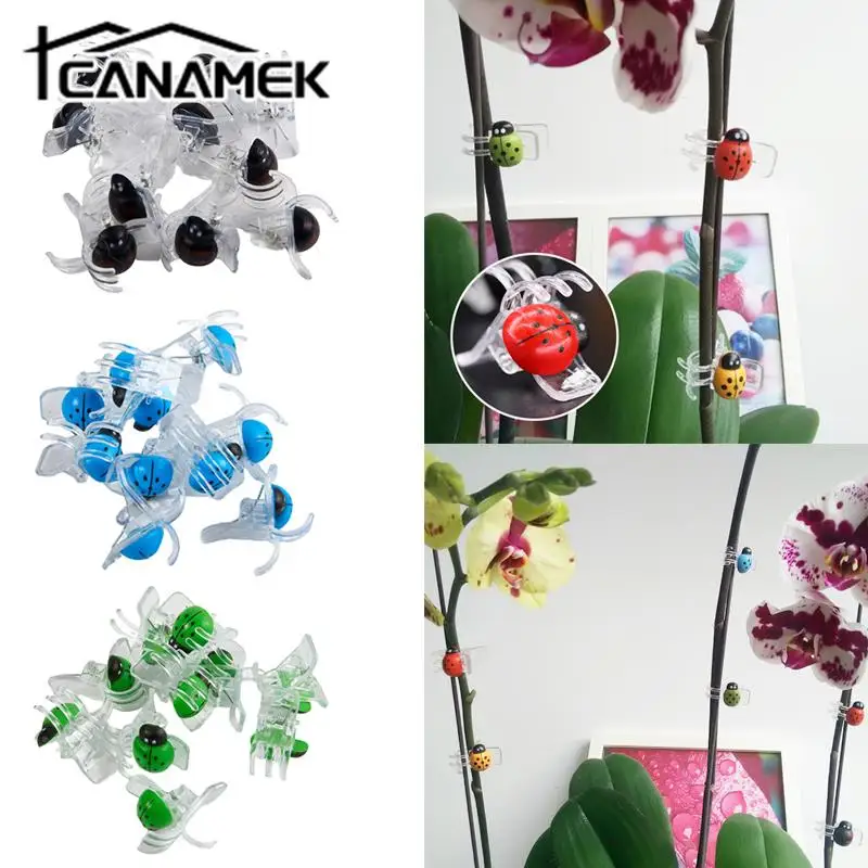 10 szt. 5-pazurkowe zestaw zacisków spinki do orchidei kolorowe podpale ogrodowe do mocowania roślin pnących wystrój Bonsai