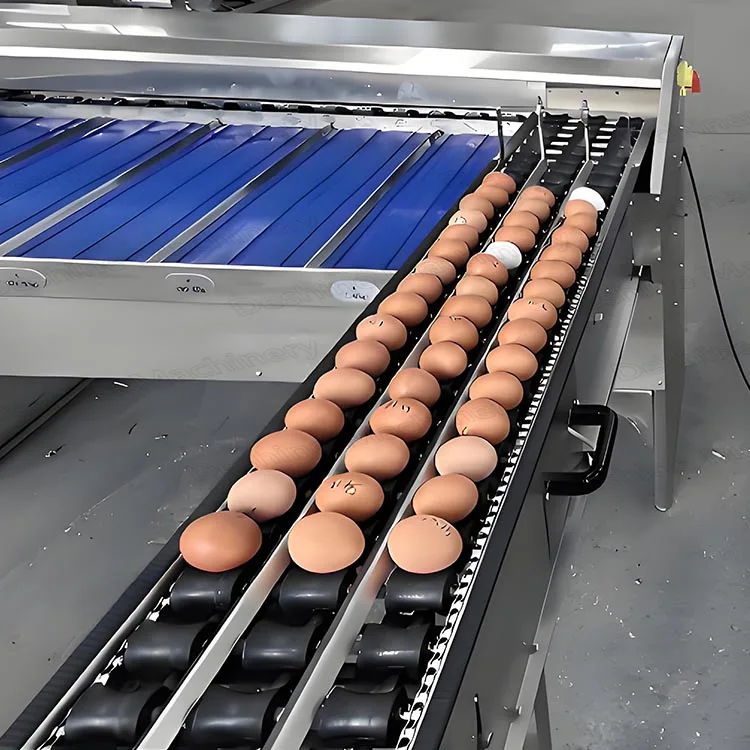 للبيع فارز الوزن التلقائي فارز فارز