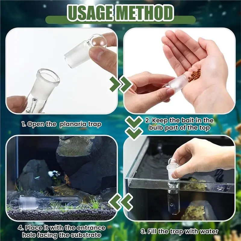 Professional Grade Safe For Young Shrimp, Planaria Trap For Aquariums- Transparent Glass Design With 2, 3, 8 Hole Acrylic Option