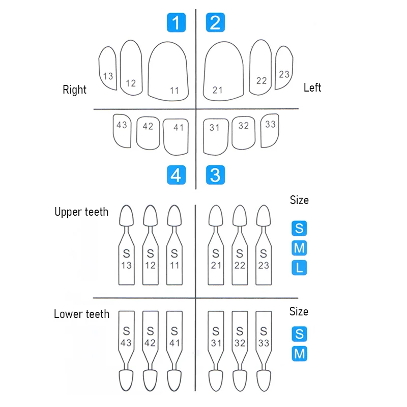 JUMTOP 1 Set Dental Veneer Mould Kit Composite Resin Mold Light Cure Autoclave Anterior Front Teeth Mould