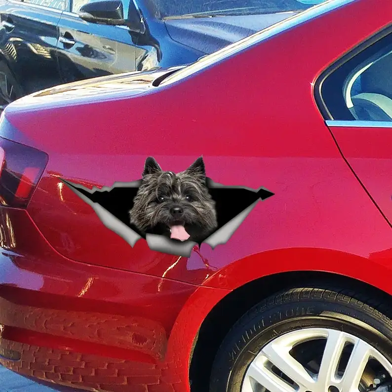 Dark Cairn Terrier car decal , cairn terrier sticker, cairn terrier magnet