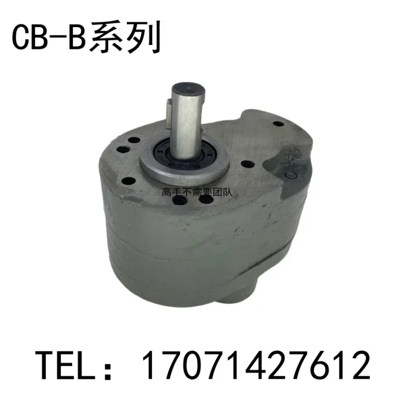 Gear pump CB-B6/B10/B4/B2.5/B16/B20/B25/B32 saw machine R hydraulic oil pump F lubrication pump