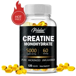 Creatine Monohydrate Capsules - Build Muscle, Improve Athletic Performance, Improve Energy Endurance and Promote Recovery