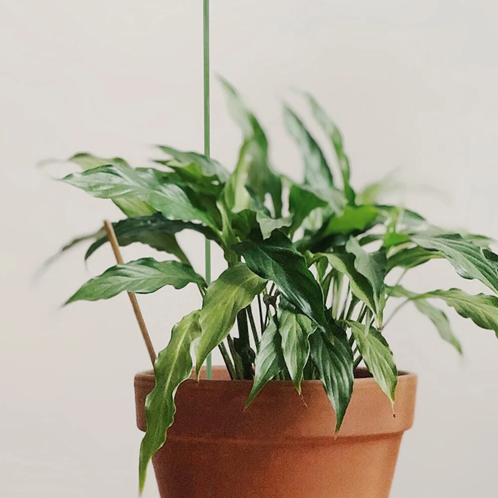 12 قطعة حصص نباتات الزهور الأوركيد دعم قابلة لإعادة الاستخدام بوعاء قضبان النبات للنباتات الداخلية ملحقات حديقة الكوبية #3