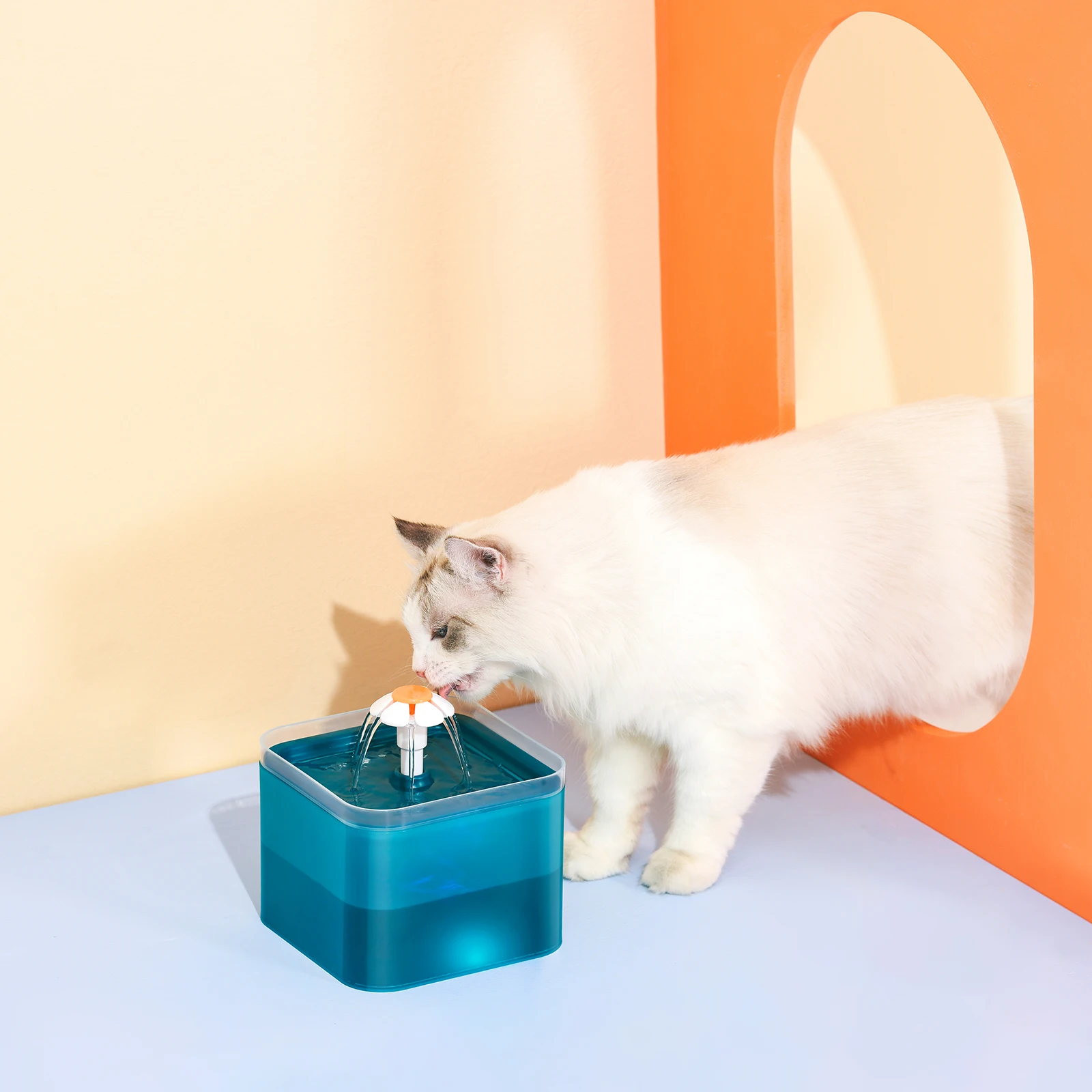 2L Pet Water Fountain w/Nitelight 5