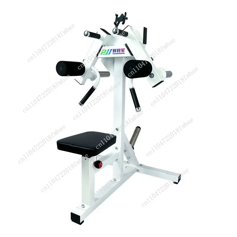 Seated shoulder lift, training rack, shoulder deltoid side lift professional trainer, gym personal training equipment