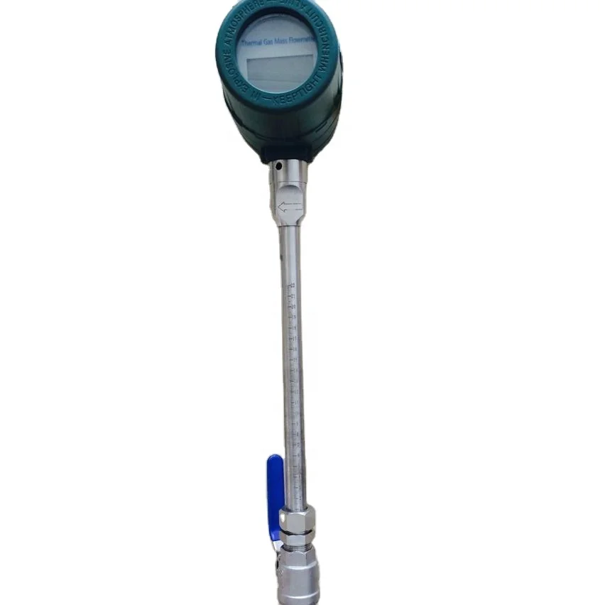 

Industrial Thermal Gas Mass Flow Meter for DN150 Pipe
