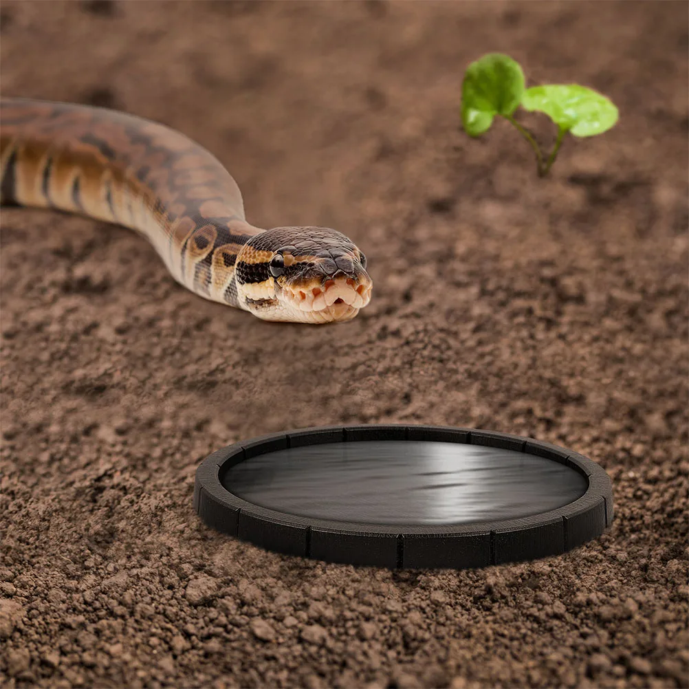 

Plastic Reptile Feeder Bowl Lizard Food Pot Decorative Dish for Small Pets Gnaw Proof Non Absorbent Terrarium Bowls Pet Supplies