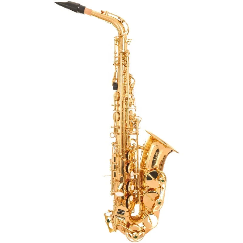 Professional Performance Classic Gold Saxophone E-Flat Alto Instrument With Two Flute Heads Brass Body Gold Lacquer Surface