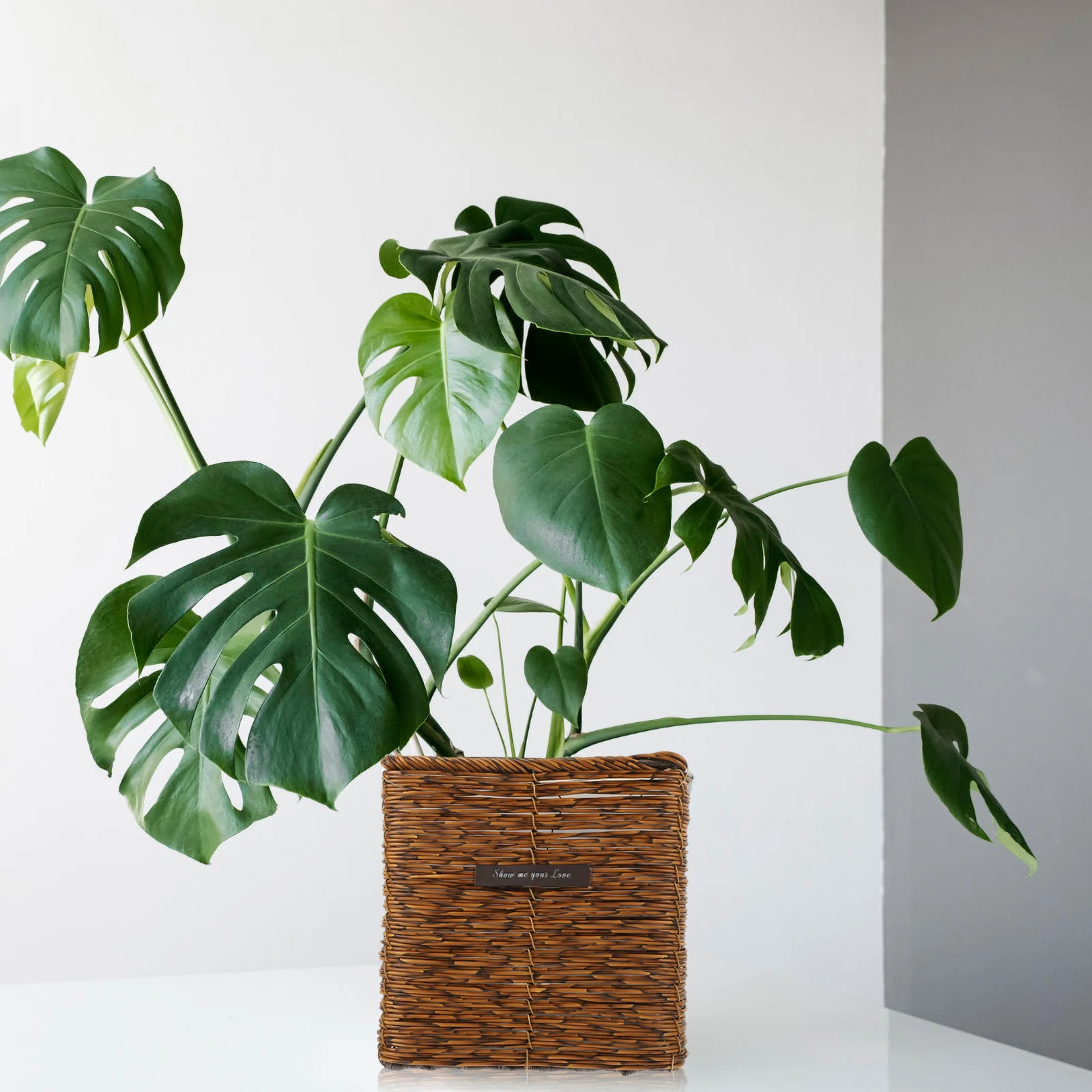 

Imitation Rattan Flower Pot Woven Storage Desktop Plant Decor Multi-Purpose Basket For Organizing Diapers Crafts Household