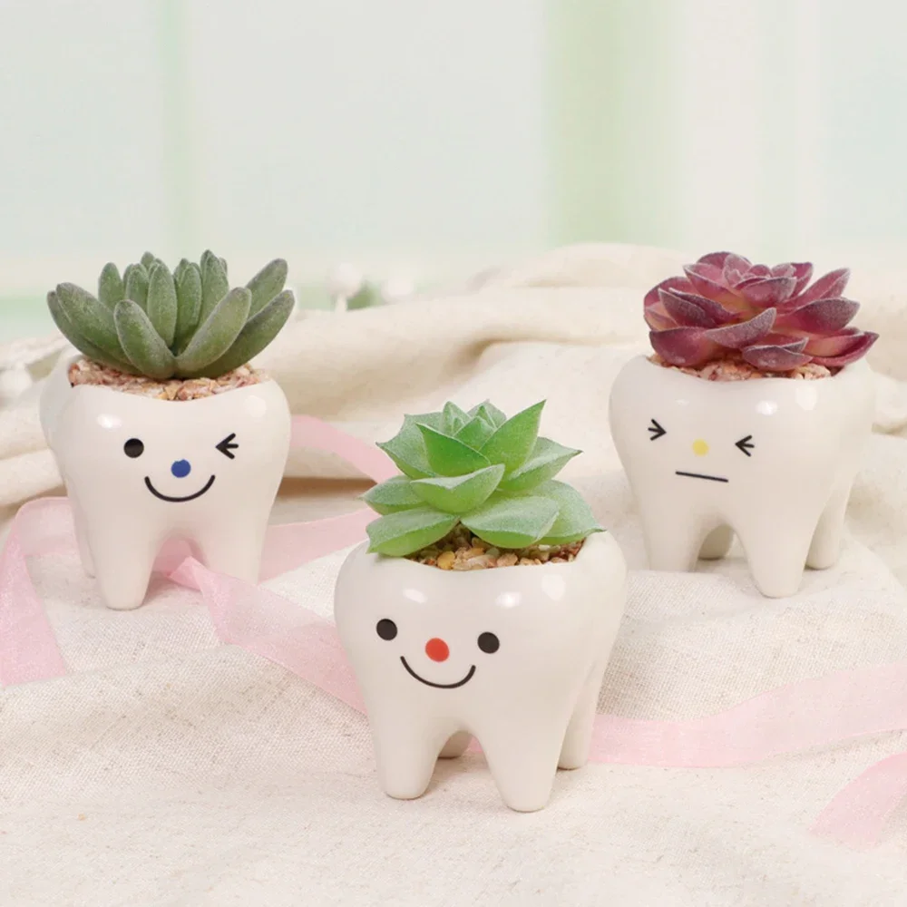 

Tooth Flowerpots Ceramic Garden Pots Planters Succulent Cactus Vases Decor Home Garden Decorative Tabletop Plant Pot