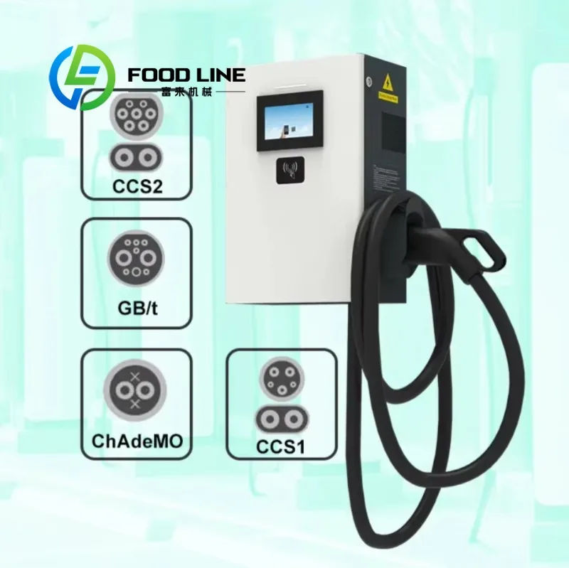 Competitive Price Single Dual Outlet Electric Car Charging Station 20kW 30kW 40kW DC EV Charger With APP Control customize