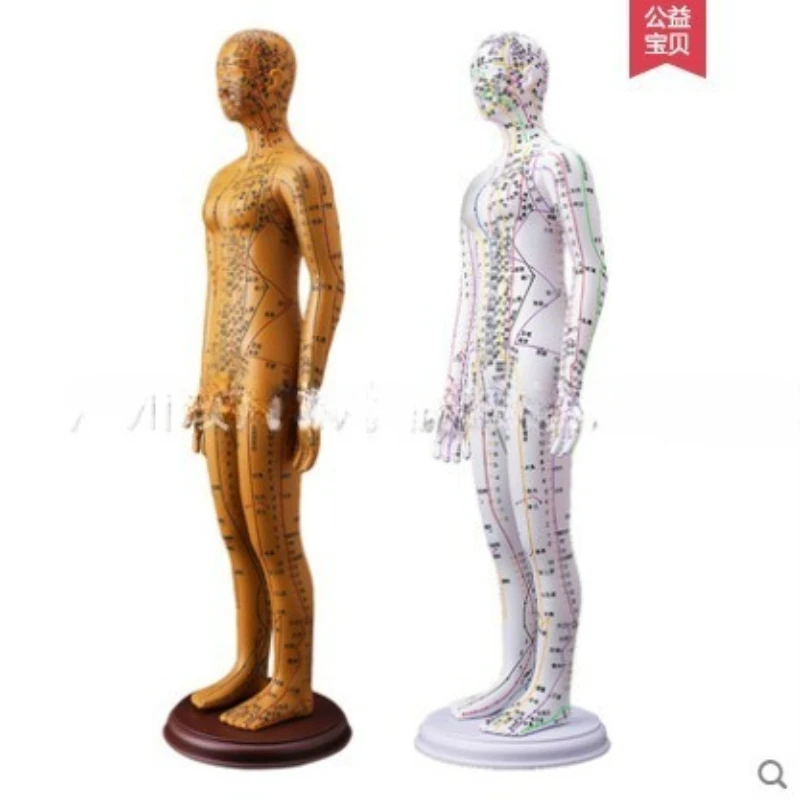

Zhenghe acupuncture acupoints, whole body traditional Chinese medicine, twelve bronze men, needle piercing small skin people