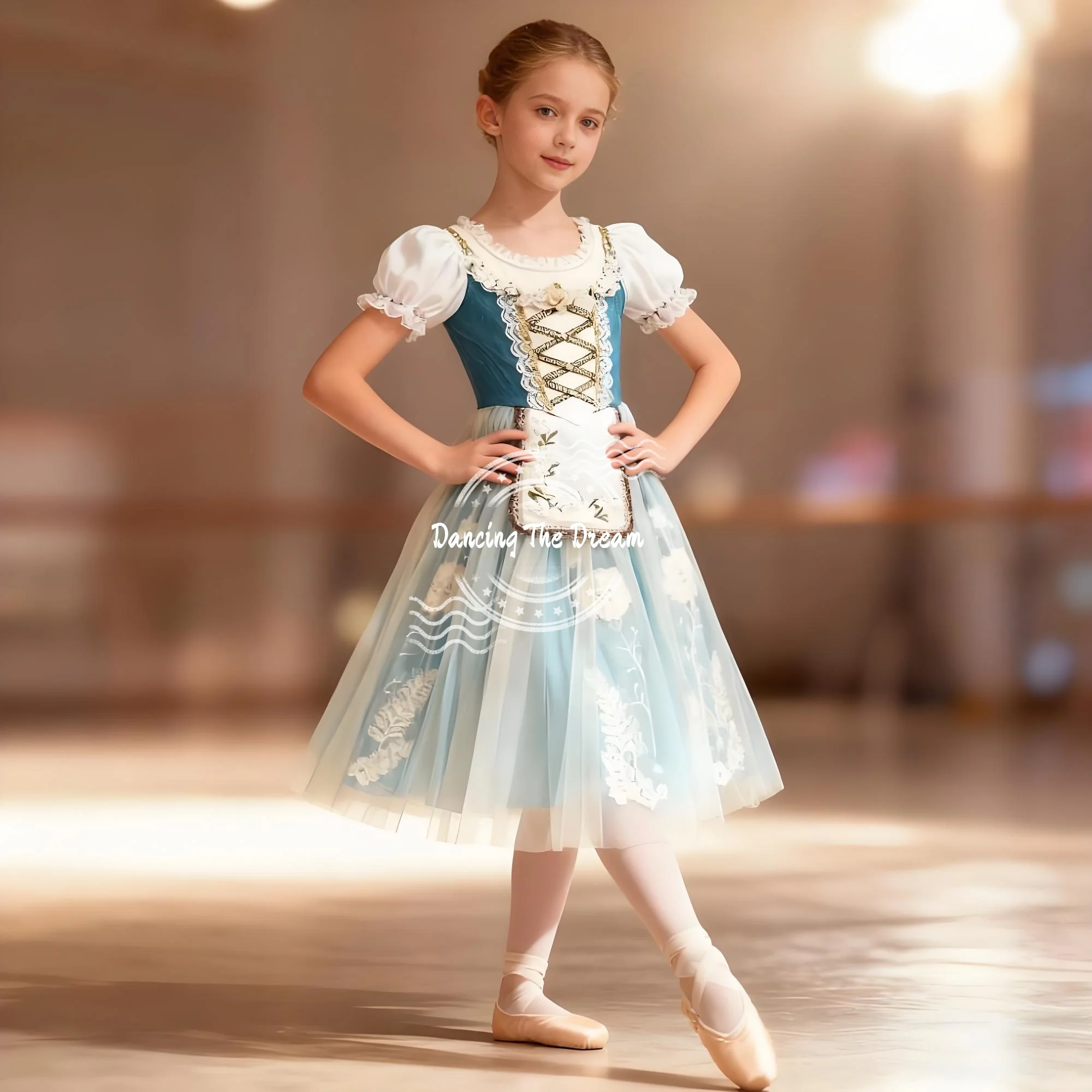 

Giselle Professional Tulle Ballet Dress Blue Ombre Tulle Dress with Floral Embroidery and Corset Detailing