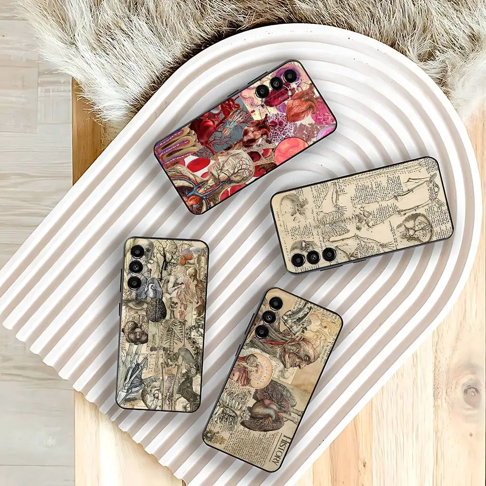 

Medical Human A-Anatomy Phone Case For Samsung Galaxy A73,31,32,72,41,53,52,71,22,5G,Note,J7,8,9 Soft Black Cover